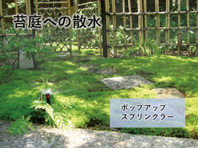 【個人邸の施工例】苔が広がる由緒正しき日本庭園への自動散水システム導入