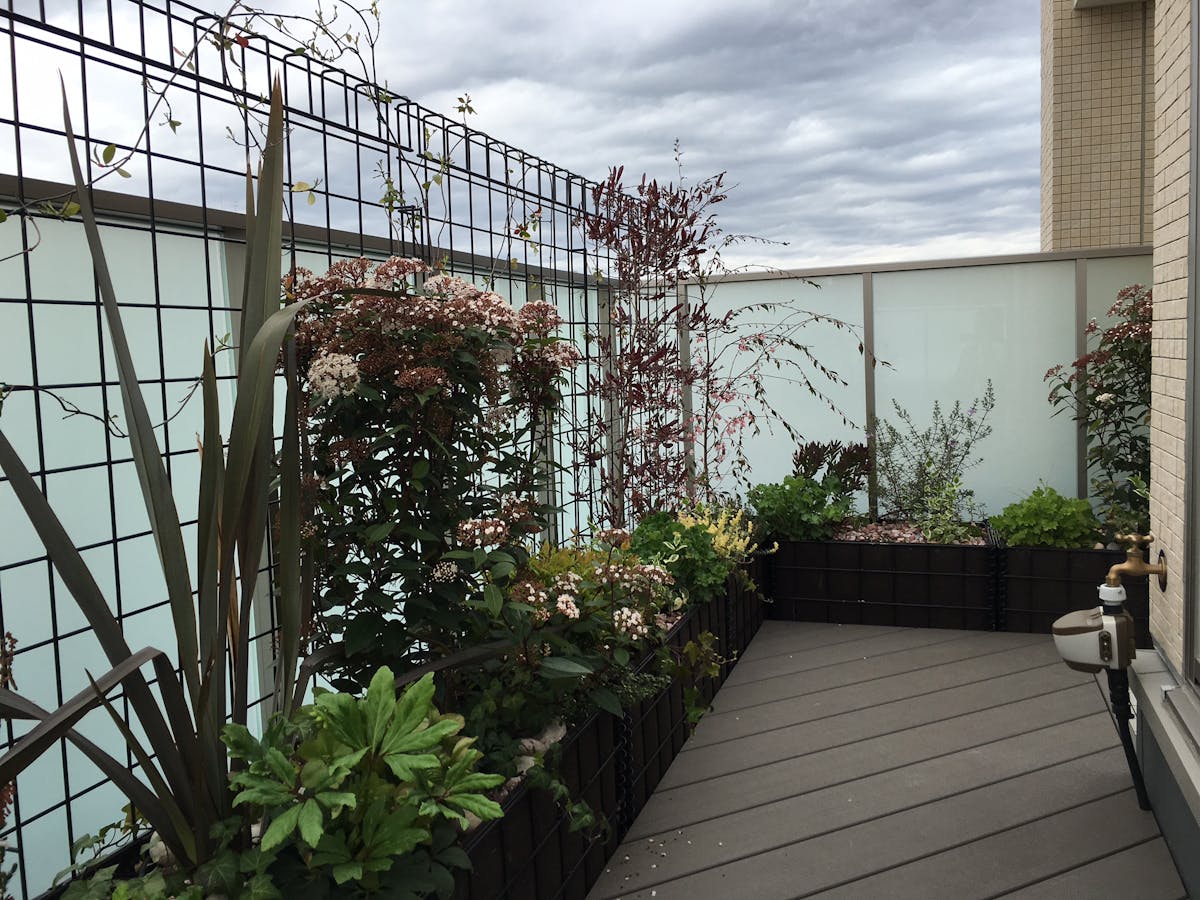 ベランダ緑化への施工例 お洒落なベランダ庭園へ自動散水システム導入 ベランダ緑化への施工例 お洒落なベランダ庭園へ自動散水システム導入