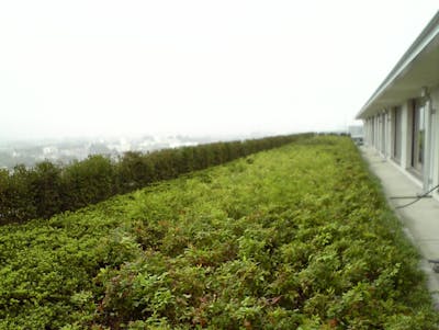 【医療施設の施工例】大規模屋上緑化への自動散水導入