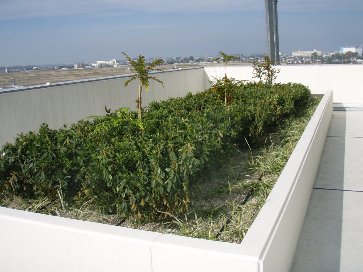 使用している散水機はドリップチューブです。