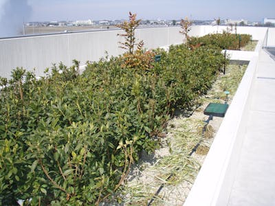 【公共施設の施工例】浄水場の屋上緑化に自動散水導入