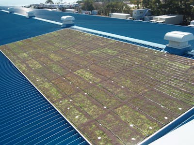 【屋上緑化の施工例】運送会社倉庫屋根に設置された緑化基盤への散水