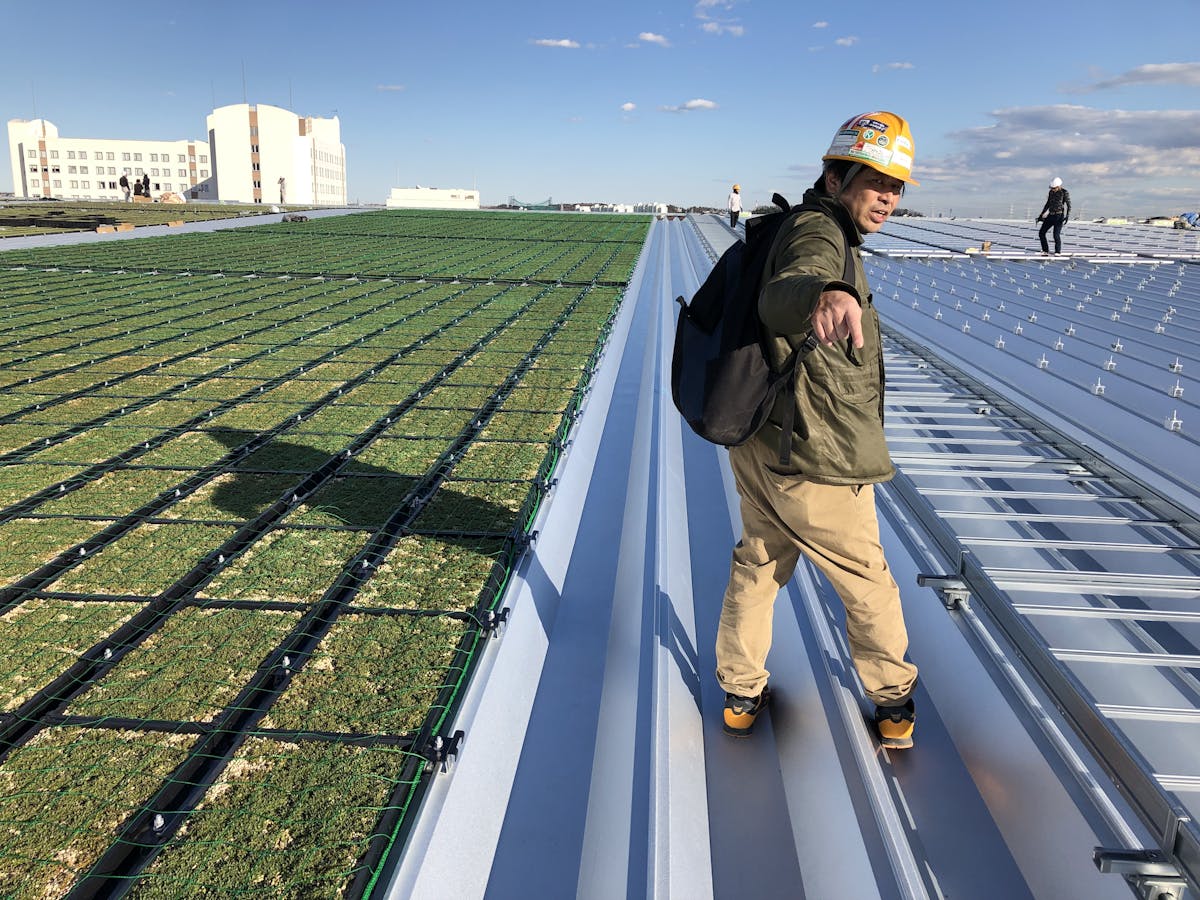 屋上の薄層緑化基盤への散水機導入