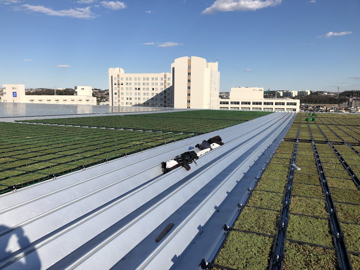 屋上の薄層緑化基盤への散水機導入