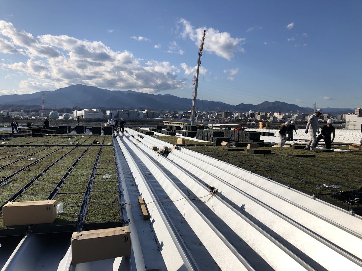 屋上の薄層緑化基盤への散水機導入