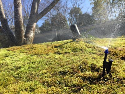 【宿泊施設の自動散水施工事例】高級会員制リゾートの苔庭に乾燥対策でジェットスプレー導入