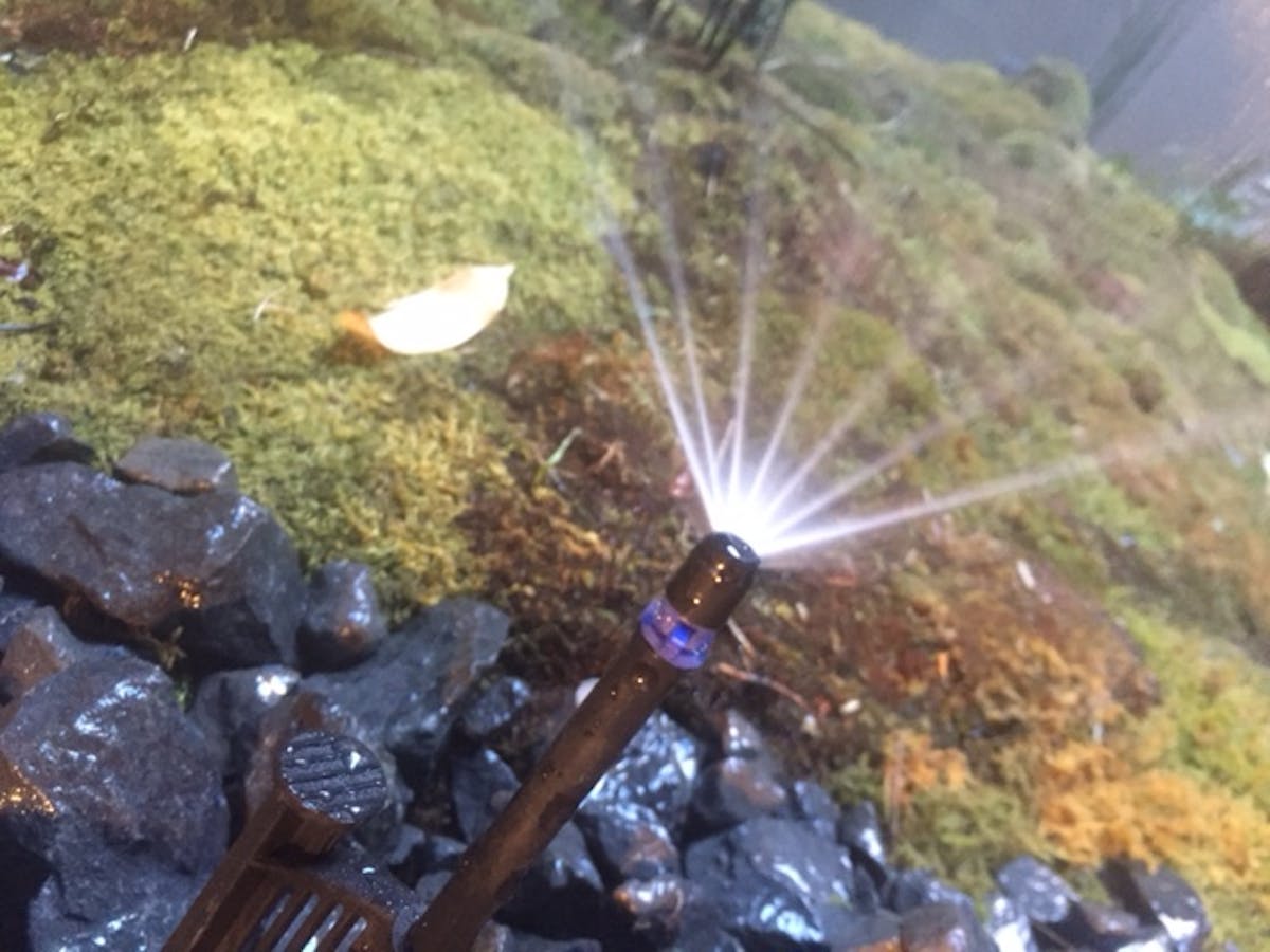 宿泊施設の施工例 高級会員制リゾートの苔庭に散水機導入で乾燥対策 宿泊施設の施工例 高級会員制リゾートの苔庭に散水機導入で乾燥対策