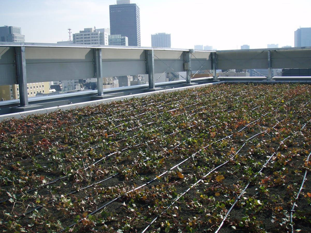 屋上緑化の施工例 オフィスビルの屋上緑化へ散水機導入 屋上緑化の施工例 オフィスビルの屋上緑化へ散水機導入