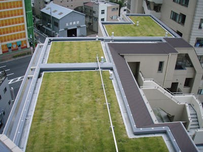 【屋上緑化の自動散水施工事例】オフィスビルの屋上緑化へドリップチューブを導入