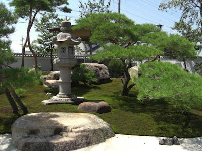 【個人邸の施工例】苔が広がる美しき日本庭園への自動散水
