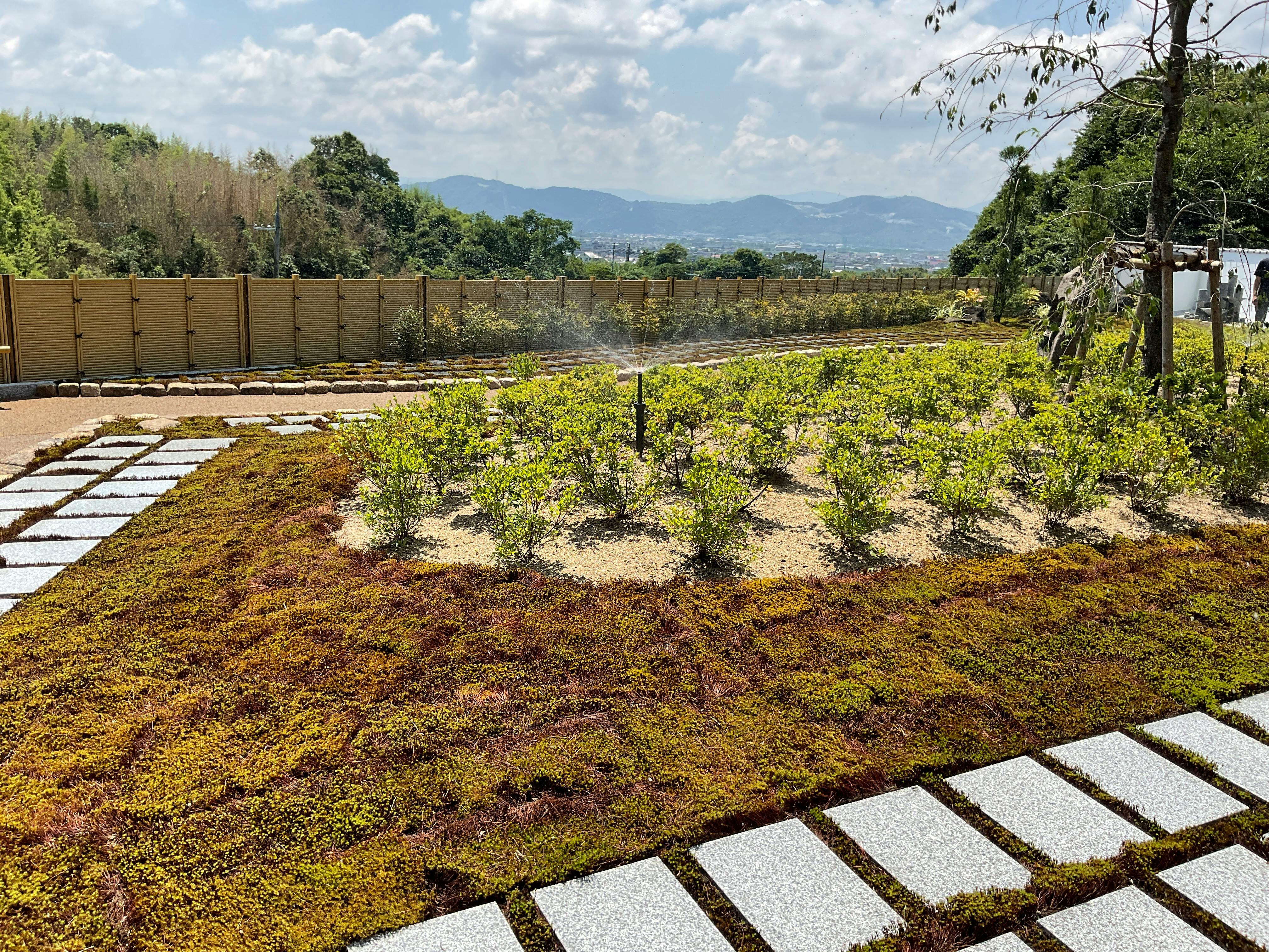 苔が広がる樹木葬庭園に自動散水導入