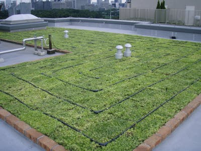 【屋上緑化の施工例】都内レジデンス屋上、薄層緑化への散水機導入