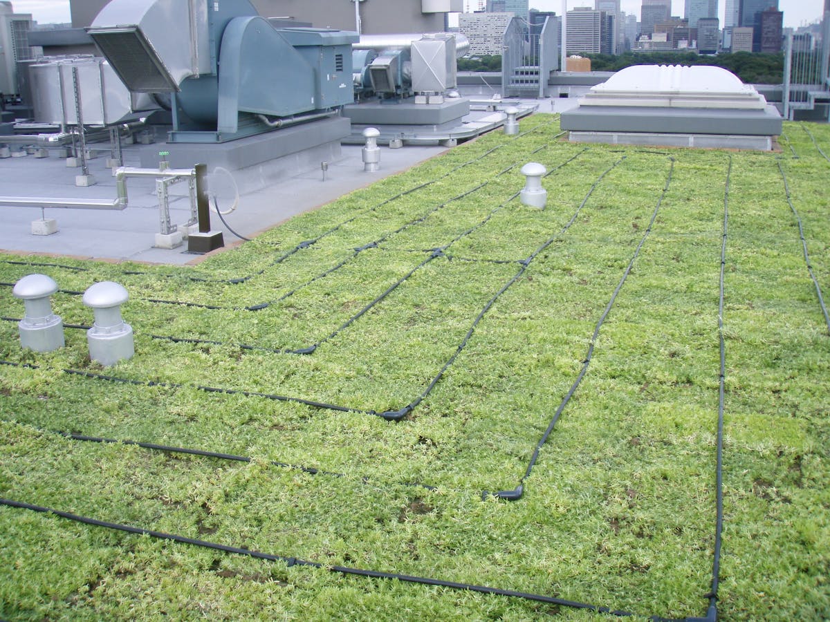 水やり管理ができない屋上・薄層緑化に自動散水システム導入