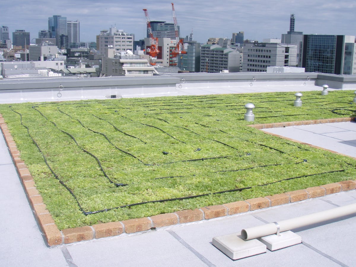 水やり管理ができない屋上・薄層緑化に自動散水システム導入