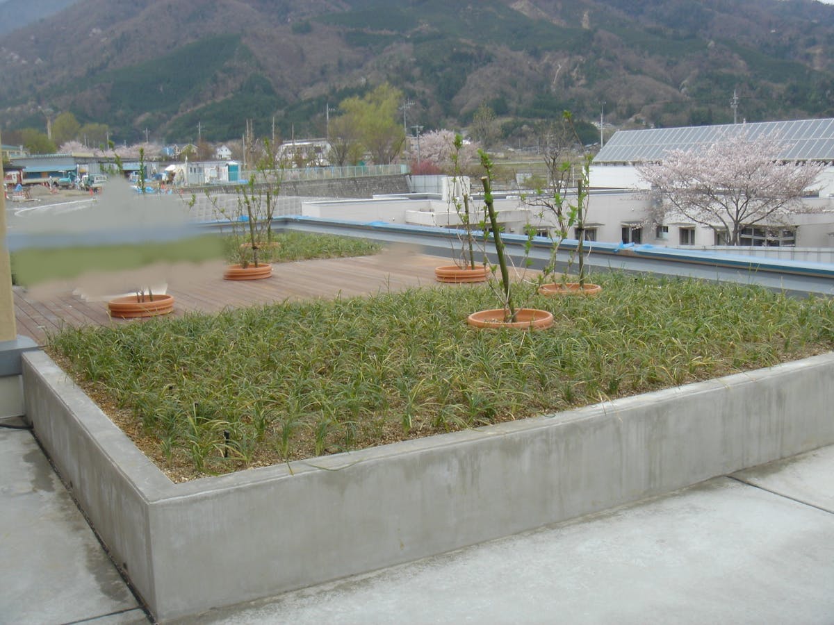 水やり管理ができない。大学校舎の屋上緑化に自動散水システム導入
