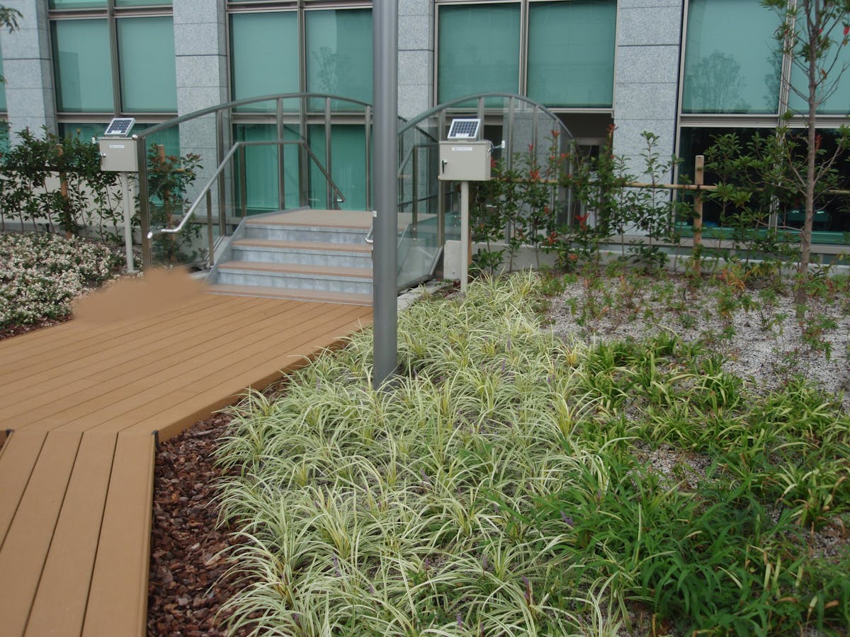 水やり管理ができない。大学校舎の屋上緑化に自動散水システム導入
