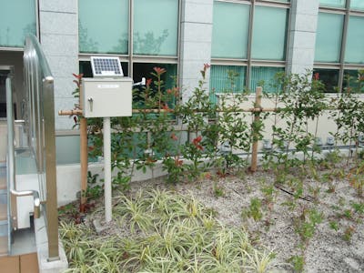 【屋上緑化の自動散水施工事例】大学校舎の屋上緑化にドリップチューブを導入