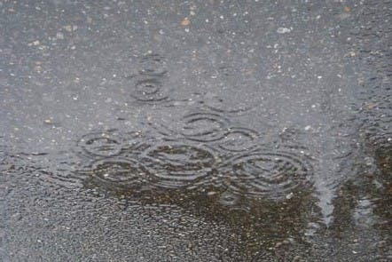 雨の日は散水機は停止します。
