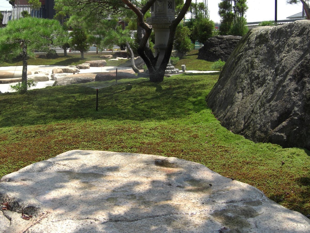 石材を使った苔庭
