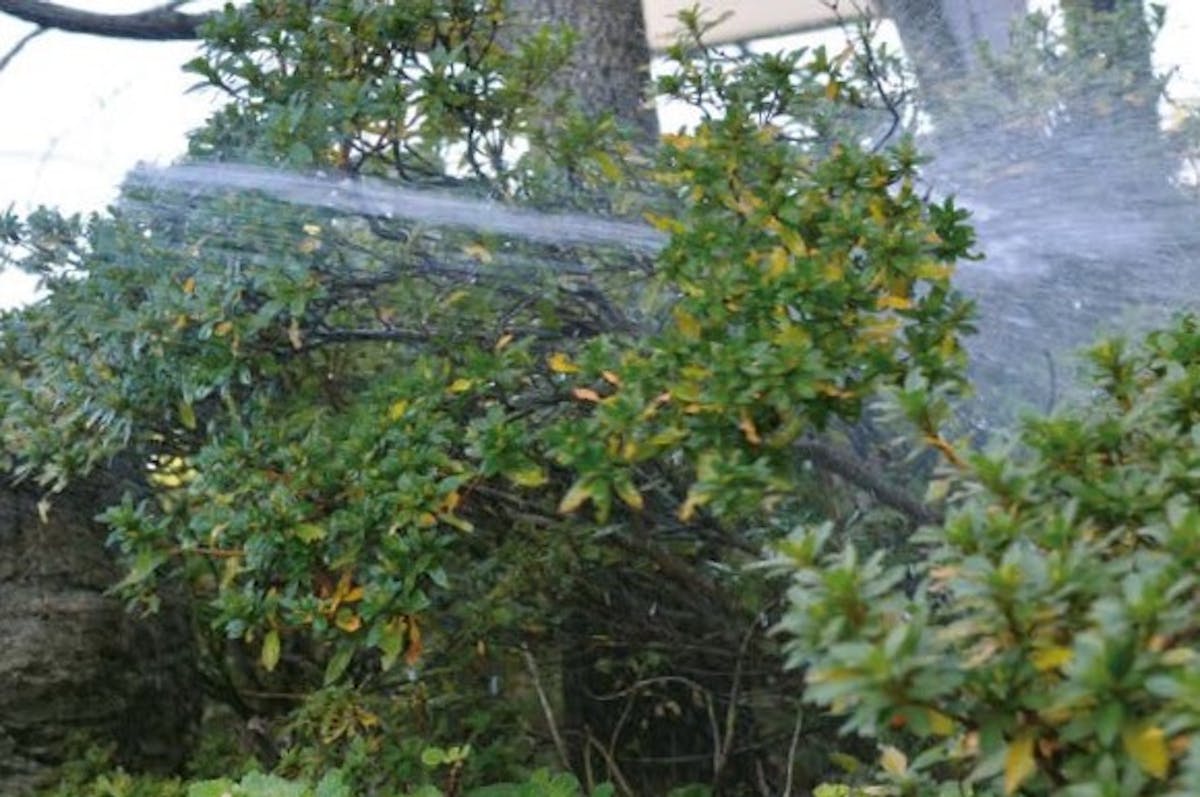 飛散する自動散水システム