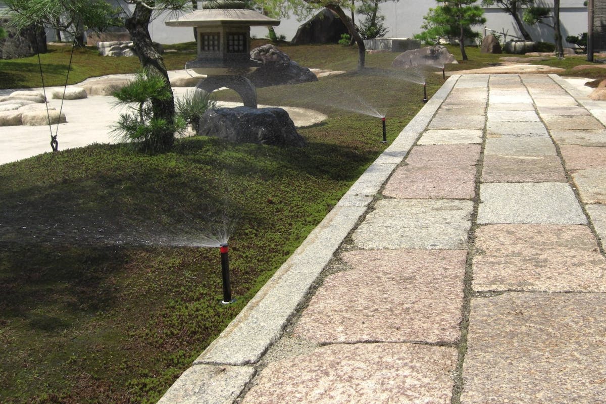 散水機を導入した苔庭