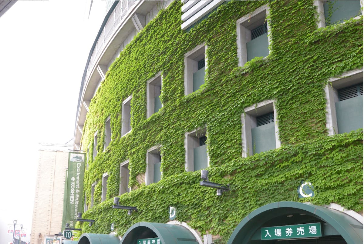 甲子園球場外観