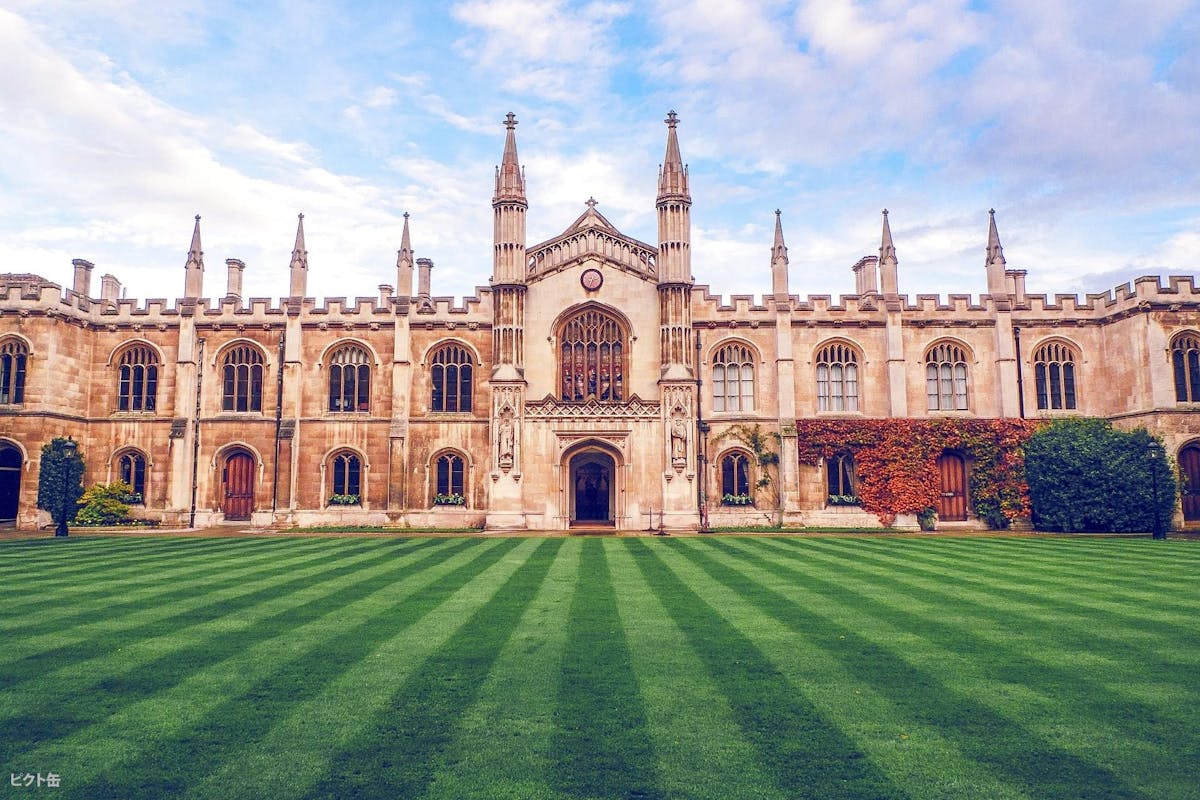 英国ケンブリッジ大学の芝生