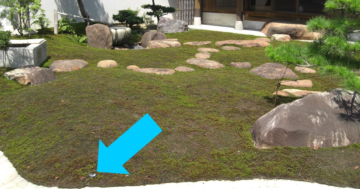 苔庭への散水スプリンクラーの導入事例