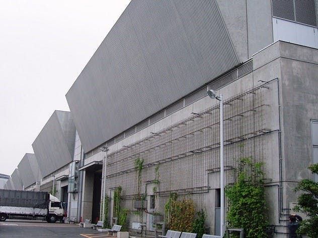 壁面緑化への導入例 有名大型展示場Ｂ 東京都・江東区